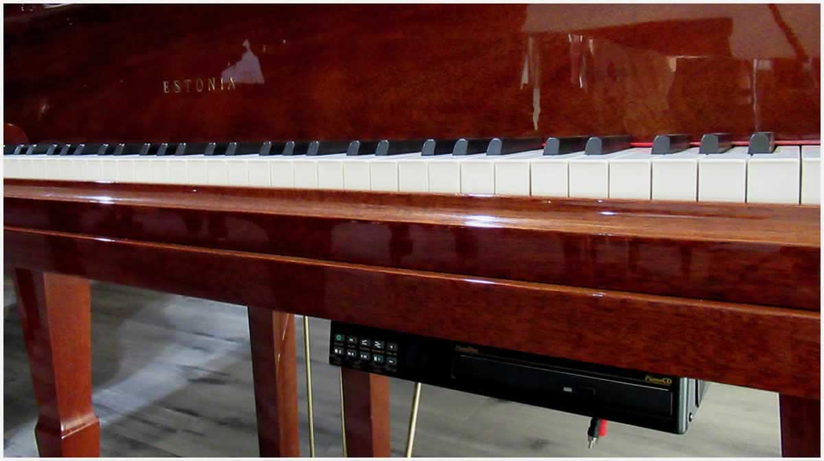 pianodisc player piano